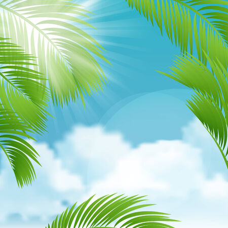 Beautiful view on sunny day with palm leaves  のイラスト素材