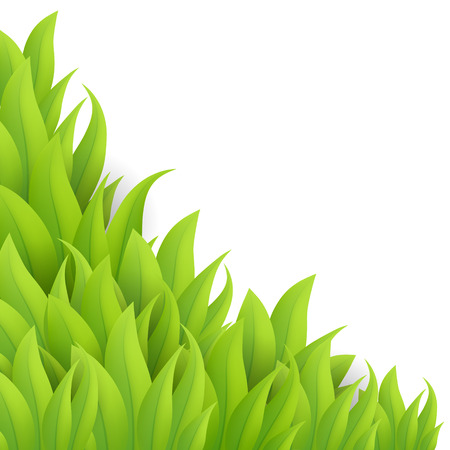 Green grass background, vectorのイラスト素材