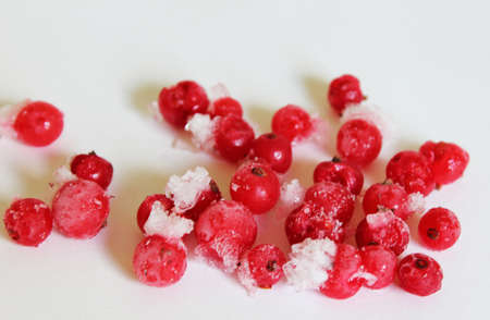Red frozen currantsの写真素材