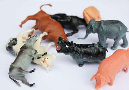 toys animalsの写真素材
