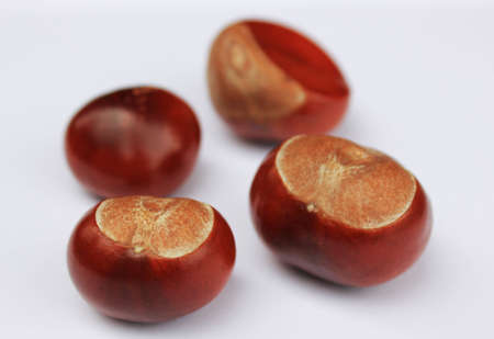 chestnutsの写真素材