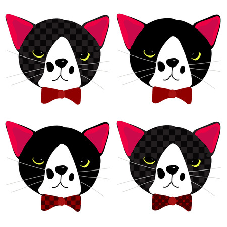 Black Cat with Ribbon  on White Background Illustrationのイラスト素材