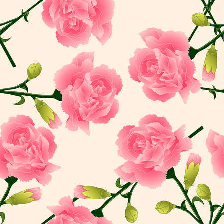 Dianthus caryophyllus - Carnation Flower, Clove Pink. National flower of Spain, Monaco, and Slovenia on Beige Ivory Background. Vector Illustration.のイラスト素材