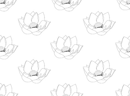 Indian Lotus on White Background. Vector Illustrationのイラスト素材