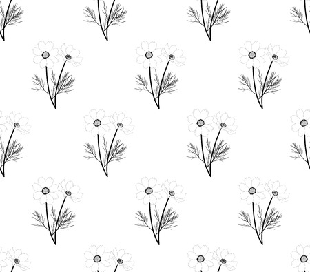 Cosmos Seamless on White Background. Vector Illustration.のイラスト素材