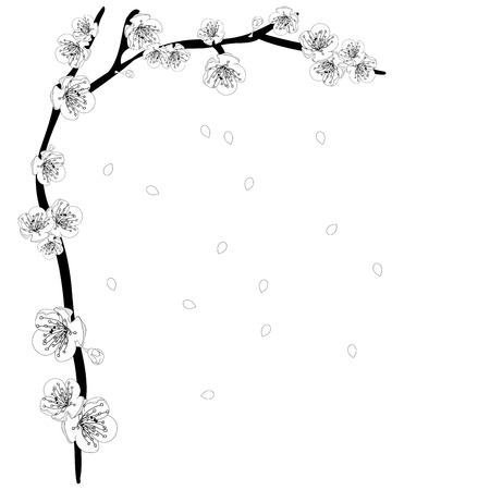 White Plum Blossom Flower Outline Border. Vector Illustration.のイラスト素材