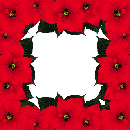 Red Poinsettia Border isolated on White Background. Vector Illustration.のイラスト素材