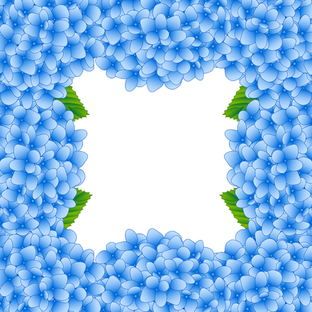 Blue Hydrangea Flower Border isolated on White Background. Vector Illustration.のイラスト素材