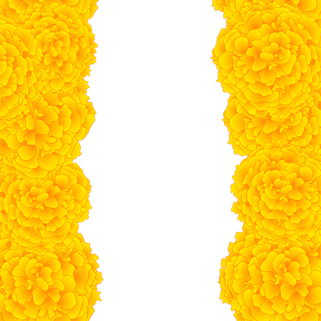 Yellow Marigold Border isolated on White Background. Vector Illustration.のイラスト素材