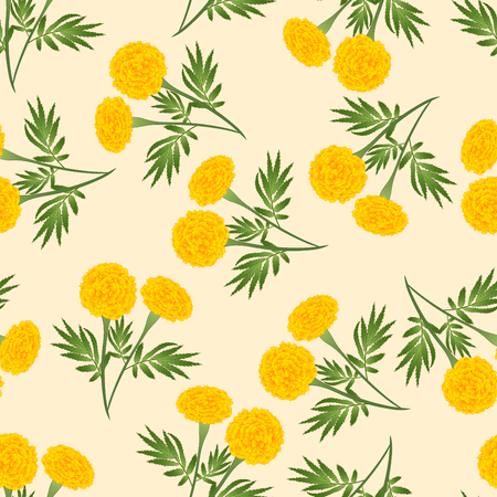 Yellow Marigold Seamless on Beige Ivory Background. Vector Illustration.のイラスト素材