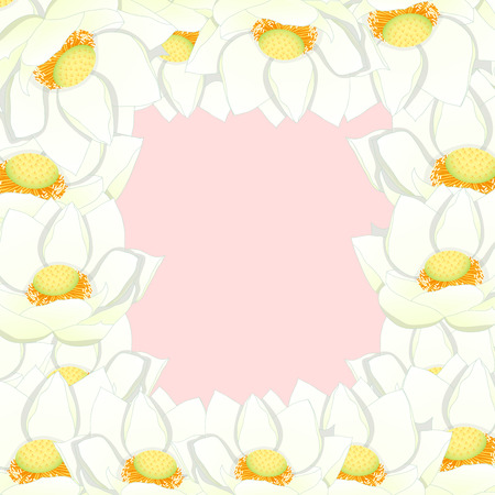 White Indian lotus Border. (Nelumbo nucifera,sacred lotus, bean of India, Egyptian bean. National flower of India and Vietnam) Vector Illustration.のイラスト素材