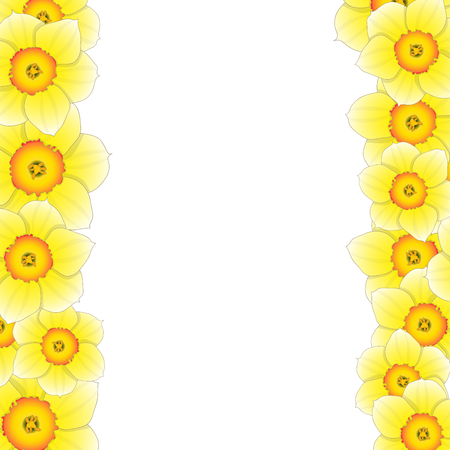 Yellow Daffodil - Narcissus Flower Border. Vector Illustration.のイラスト素材