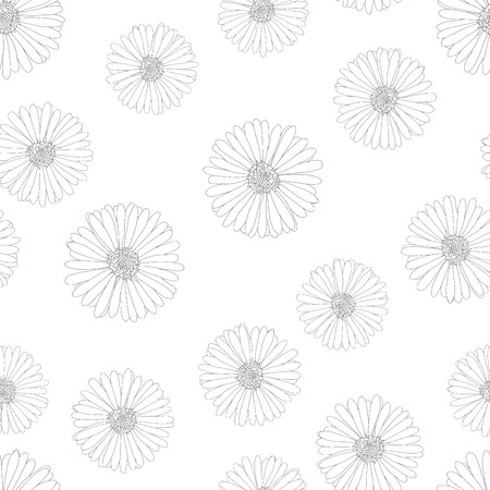 Aster, Daisy Outline Seamless on White Background. Vector Illustration.のイラスト素材
