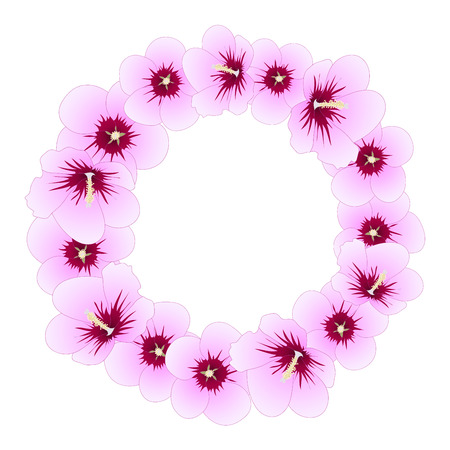 Hibiscus syriacus - Rose of Sharon Wreath. Vector Illustration.のイラスト素材