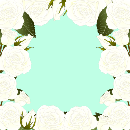 White Rose Border - Rosa isolated on Green Mint Background. Valentine Day. Vector Illustration.のイラスト素材