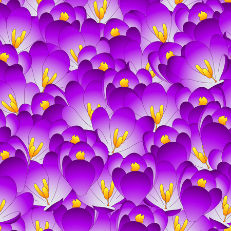 Purple Crocus Flower Seamless Background. Vector Illustration.のイラスト素材
