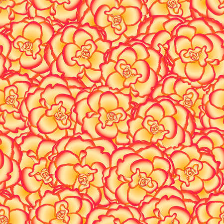 Begonia Flower, Picotee Sunburst Seamless Background. Vector Illustration.のイラスト素材