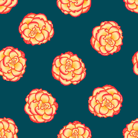 Begonia Flower, Picotee Sunburst on Green Teal Background. Vector Illustration.のイラスト素材