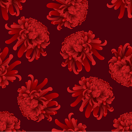 Red Chrysanthemum, Kiku Japanese Flower on Red Background. Vector Illustration.のイラスト素材
