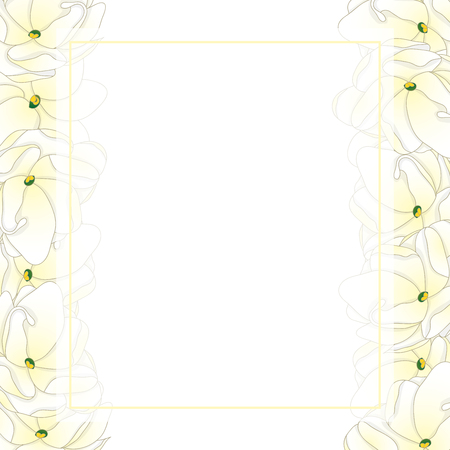 Jasminum sambac - Arabian Jasmine Banner Card Border. Vector Illustration.のイラスト素材