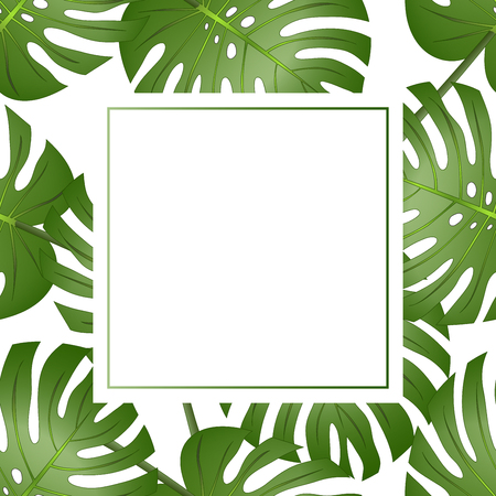 Philodendron Monstera Leaf Banner Card. Vector Illustration.のイラスト素材