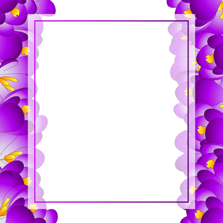Purple Crocus Flower Banner Card Border. Vector Illustration.のイラスト素材