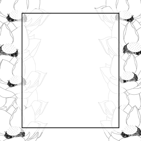 Indian lotus Outline Banner Card Border. Nelumbo nucifera,sacred lotus, bean of India, Egyptian bean. National flower of India and Vietnam. Vector Illustration.のイラスト素材