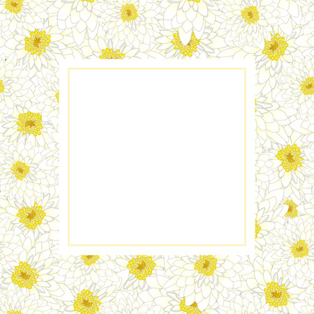 White Chrysanthemum Banner Card. Vector Illustration.のイラスト素材