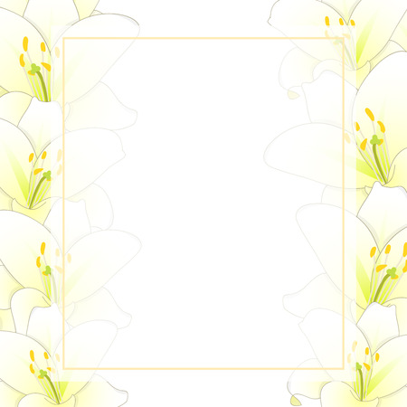 White Lily Flower Banner Card Border. Vector Illustration.のイラスト素材
