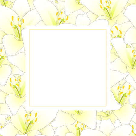 White Lily Flower Banner Card. Vector Illustration.のイラスト素材