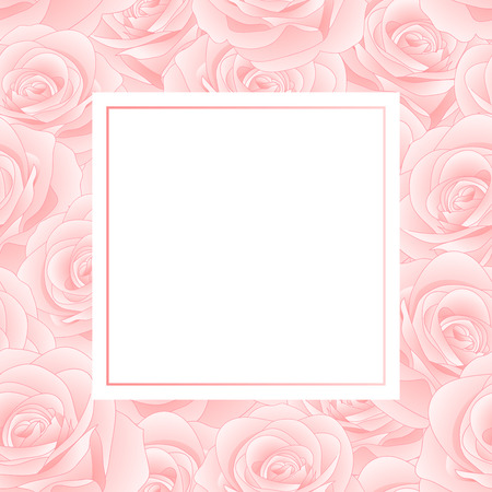 Beautiful Pink Rose - Rosa Banner Card. Valentine Day. Vector Illustration.のイラスト素材