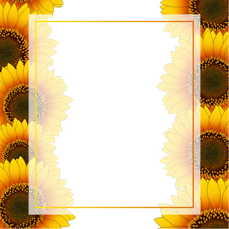 Orange Yellow Sunflower Banner Card Border isolated on White Background. Vector Illustration.のイラスト素材