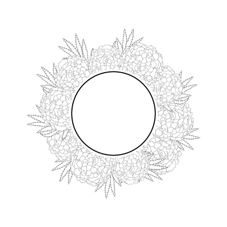 Marigold Flower - Tagetes Banner Wreath Outline isolated on White Background. Vector Illustration.のイラスト素材