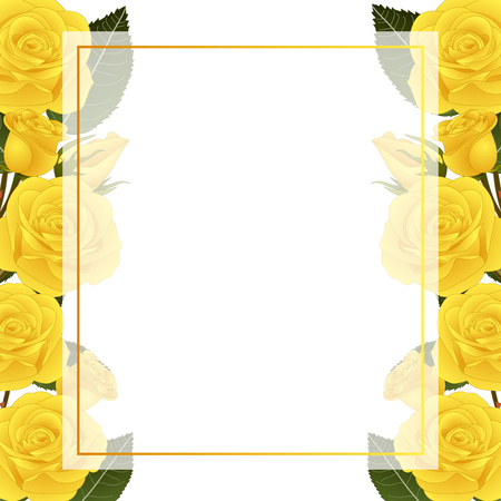 Yellow Rose Flower Frame Banner Card Border. isolated on White Background. Vector Illustration.のイラスト素材