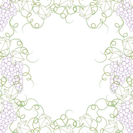 Colorful Line Grape Frame Vine on White Background. Vector Illustration.のイラスト素材