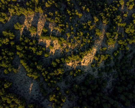 drone view of a road surrounded by trees on a mountain, landscape for wallpaperの写真素材