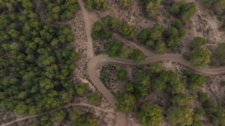drone view of a road surrounded by trees on a mountain, landscape for wallpaperの写真素材