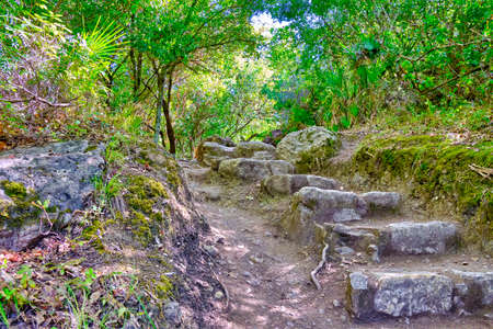 Stone stairs in a forest between El Bosque and Benamahoma, Cadiz