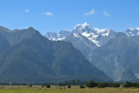 The view of Mt. Tasman near Mt. Cook from afar in a fresh sunny day under blue sky, West Coast, New Zealand.の写真素材