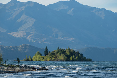An isolated small island, Ruby Island, on Lake Wanaka filled with dense of fresh pine trees growing in summer while having a massive mountains background in the morning.の写真素材
