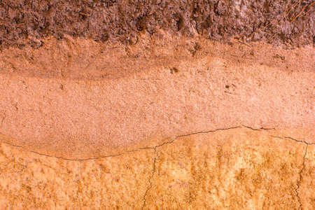 patterned layer of clay soil for the background.の写真素材