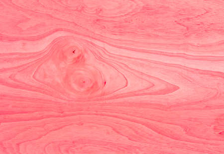 Wood texture background pattern.の写真素材