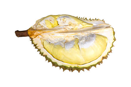 durian species  Monthong Thailand isolated on white background.