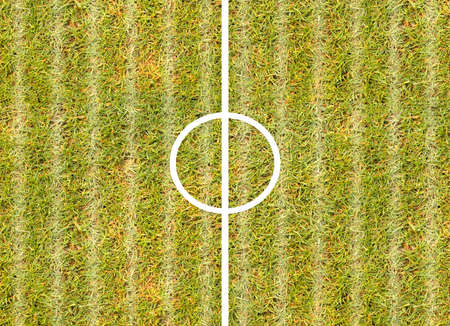green grass texture.