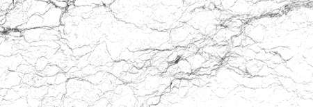 white marble background texture natural stone pattern abstract (with high resolution)の写真素材