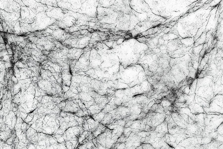 marble texture Stone natural abstract background pattern (with high resolution)の写真素材