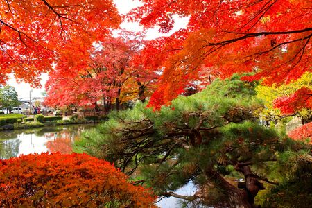 Autumn Leaves in Yamagata  Japanの写真素材