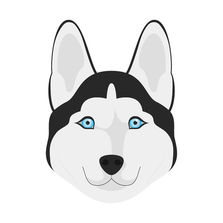 Siberian Husky dog isolated on white background vector illustrationのイラスト素材