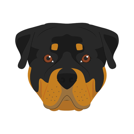 Rottweiler dog isolated on white background vector illustrationのイラスト素材