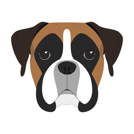 Boxer dog isolated on white background vector illustrationのイラスト素材